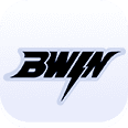 xingkong体育 39 BWIN電子老虎機